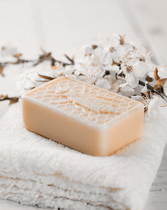 Actuated Charcoal Detox